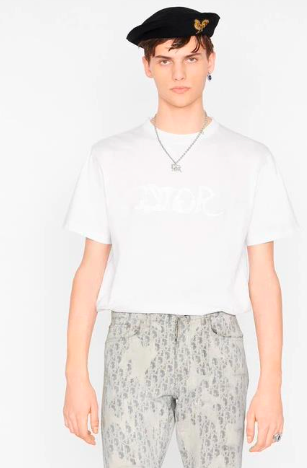 T-shirt oversize blanc DIOR DIOR ET PETER DOIG