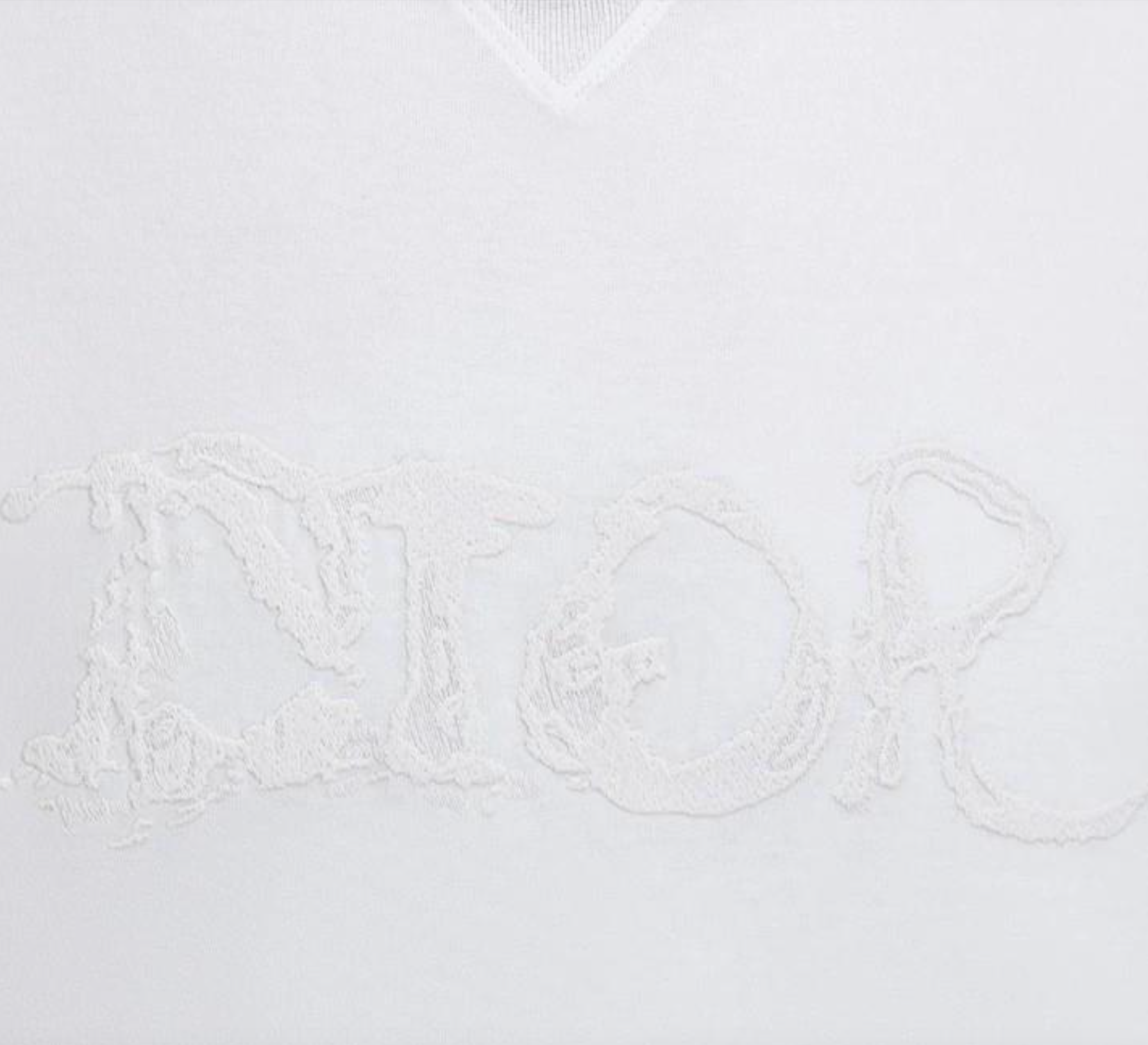 T-shirt oversize blanc DIOR DIOR ET PETER DOIG