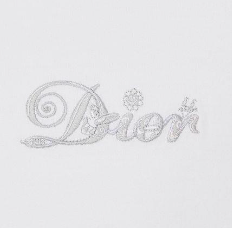 T-SHIRT DIOR ET KENNY SCHARF 