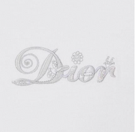 T-SHIRT DIOR ET KENNY SCHARF 